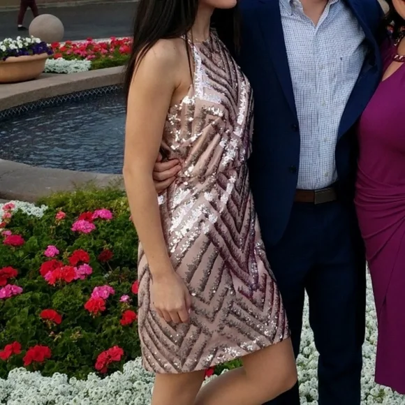 vince camuto pink sequin dress Vince camuto pink Sequin Blouson Sheath Dress